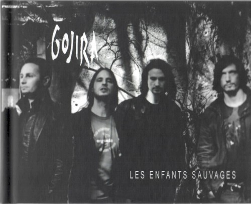 Les Enfants Sauvages cover