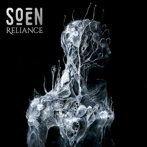 Reliance cover