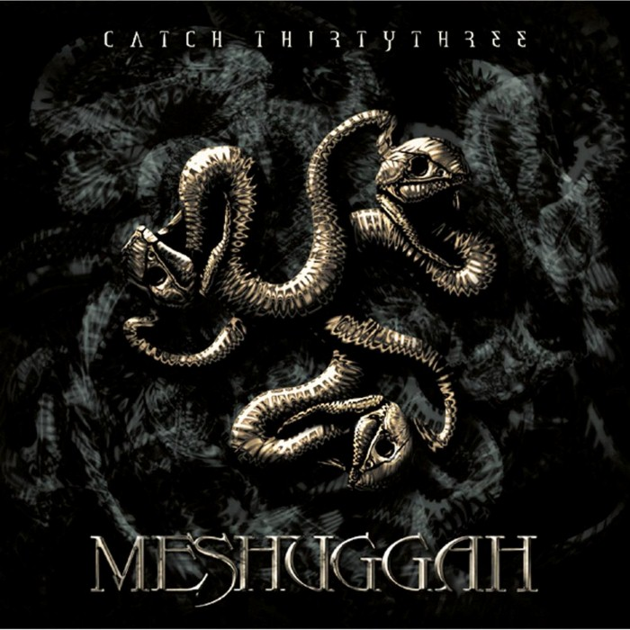 Catch Thirtythree cover